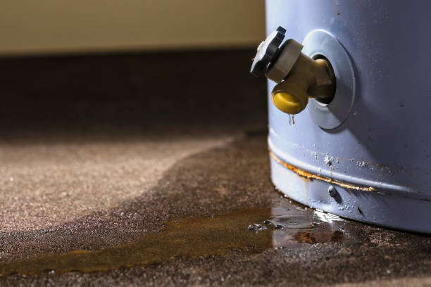 Best Flooded house restoration  in North York, PA