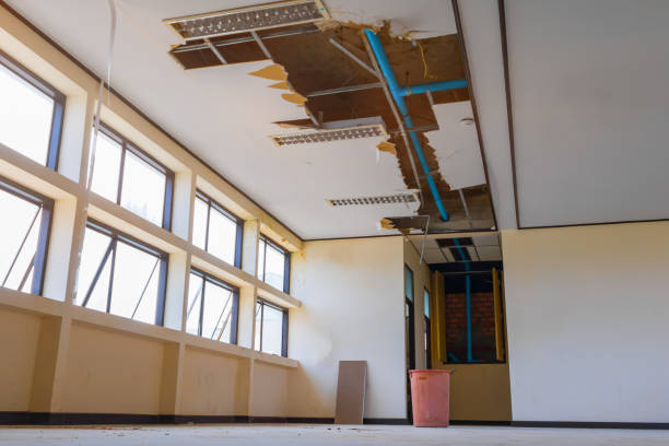 Best Mold removal after water damage  in North York, PA
