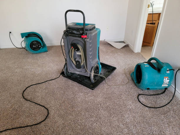Best 24-hour water damage restoration  in North York, PA