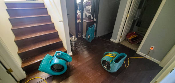 Best Water damage restoration services  in North York, PA
