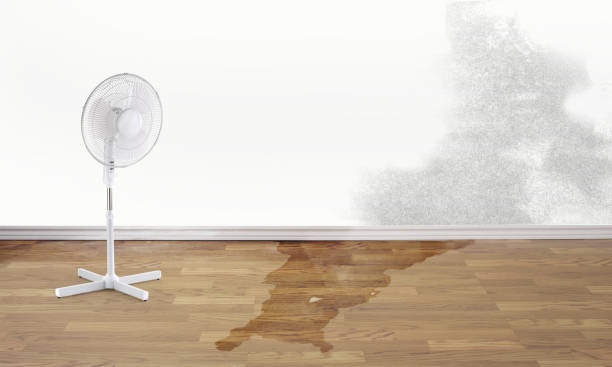 Best Water damage restoration company  in North York, PA