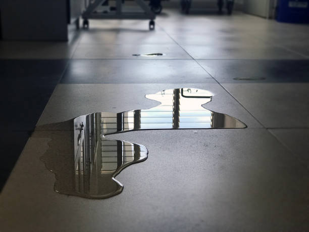 Best Local water damage restoration  in North York, PA