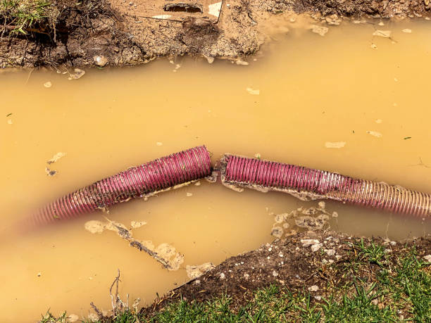 Best Residential water damage restoration  in North York, PA